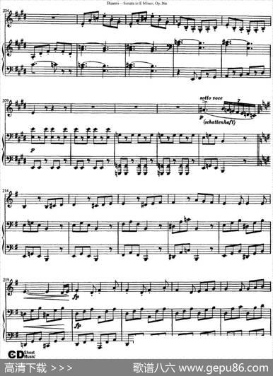 ViolinSonataNo.2inEMinorOp.36（小提琴+钢琴伴奏）