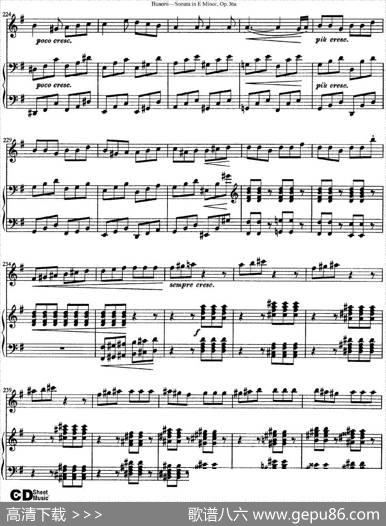ViolinSonataNo.2inEMinorOp.36（小提琴+钢琴伴奏）