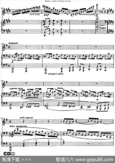 ViolinSonataNo.2inEMinorOp.36（小提琴+钢琴伴奏）