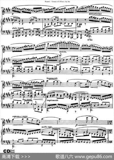 ViolinSonataNo.2inEMinorOp.36（小提琴+钢琴伴奏）