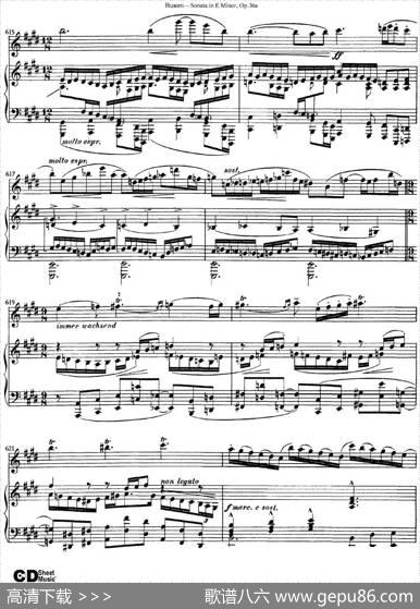 ViolinSonataNo.2inEMinorOp.36（小提琴+钢琴伴奏）