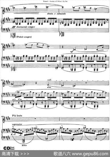 ViolinSonataNo.2inEMinorOp.36（小提琴+钢琴伴奏）