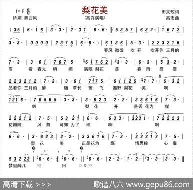 梨花美 - 田文蛟|高志