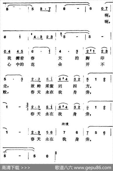 养蜂姑娘（曹俊山曲万宵良词） - 万宵良|曹俊山