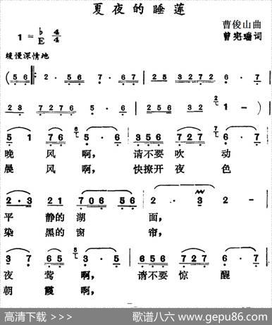 夏夜的睡莲 - 曾宪瑞|曹俊山