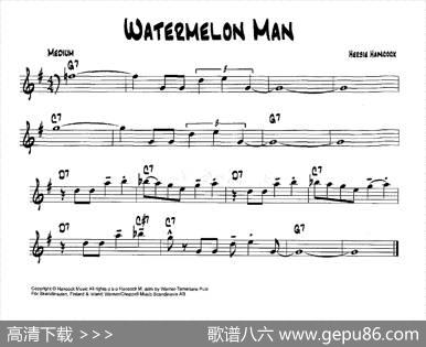 降B爵士乐谱：WATERMELONMAN