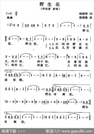 野生花（林煌坤词翁清溪曲） - 林煌坤|翁清溪