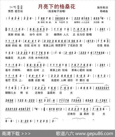 月亮下的格桑花 - 施存良|奇峰