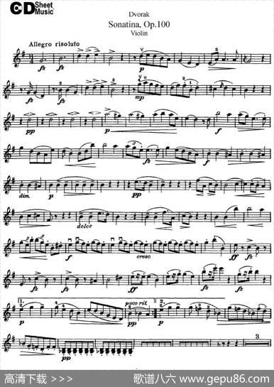 ViolinSonatinaOp.100