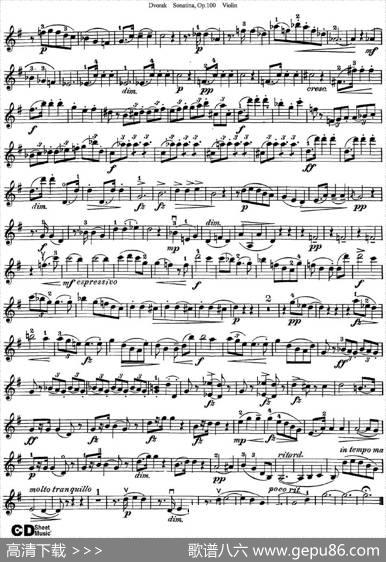 ViolinSonatinaOp.100