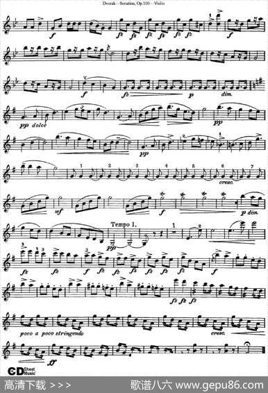 ViolinSonatinaOp.100