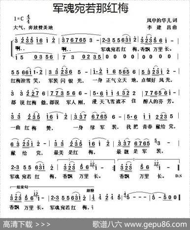 军魂宛若那红梅 - 风中的华儿|李建昌