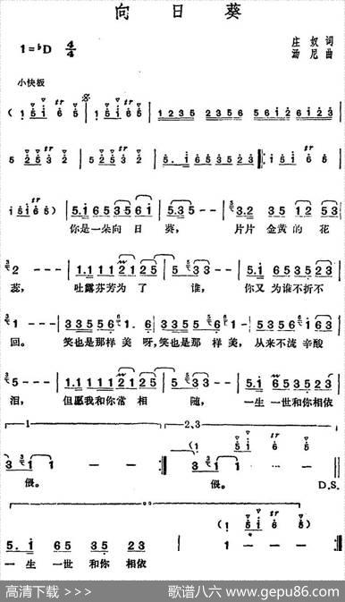 邓丽君演唱金曲：向日葵 - 庄奴|汤尼