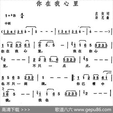 邓丽君演唱金曲：你在我心里 - 庄奴|汤尼