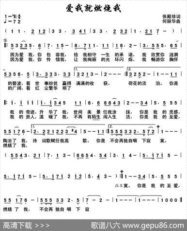 爱我就燃烧我（又名：爱我，就燃烧我） - 张殿珍|何丽华