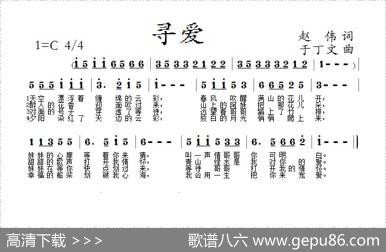 寻爱 - 赵伟|于丁文