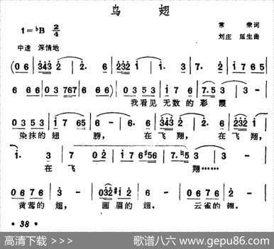鸟翅 - 常荣|刘庄、延生