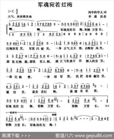军魂宛若红梅 - 风中的华儿|李建昌