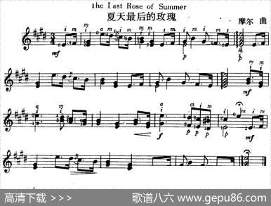西班牙吉他独奏曲：夏天最后的玫瑰|摩尔