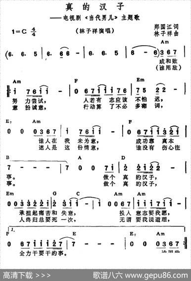 真的汉子（电视剧《当代男儿》主题歌、带和弦） - 郑国江|林子祥