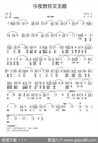 今夜想你又无眠 - 孙修竹|沈军