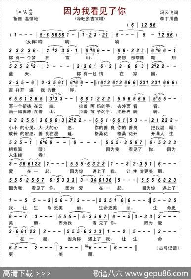 因为我看见了你 - 冯云飞|李丁川