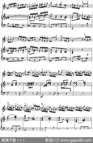 a小调协奏曲第一乐章（二胡+钢琴伴奏）|巴赫曲刘长福移植丁红梅订弓指法