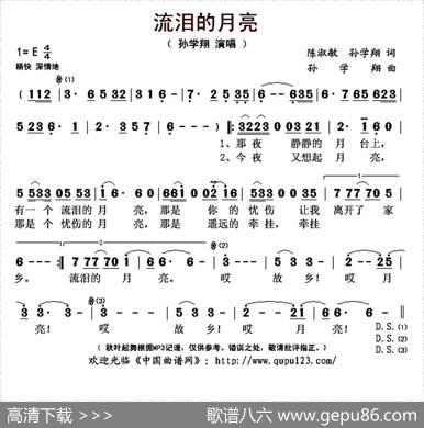 流泪的月亮（陈淑敏孙学翔词孙学翔曲） - 陈淑敏孙学翔|孙学翔