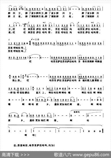 白山黑水情意长 - 王晓霞|张平生