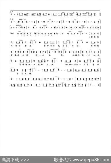 MissCamellia - 松本广|唐绍崴