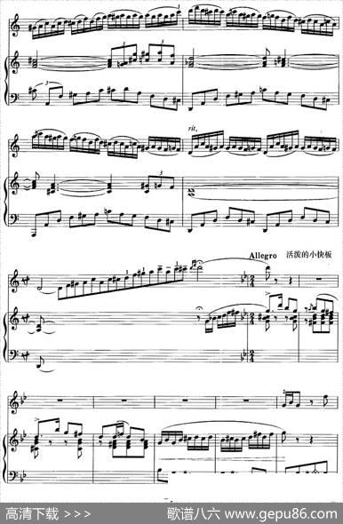 第二二胡狂想曲（二胡+钢琴伴奏）|王建民