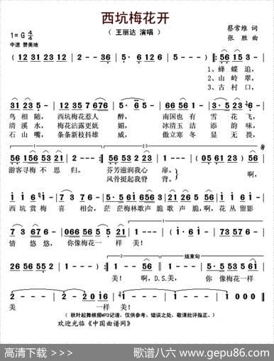 西坑梅花开 - 蔡常维|张胜