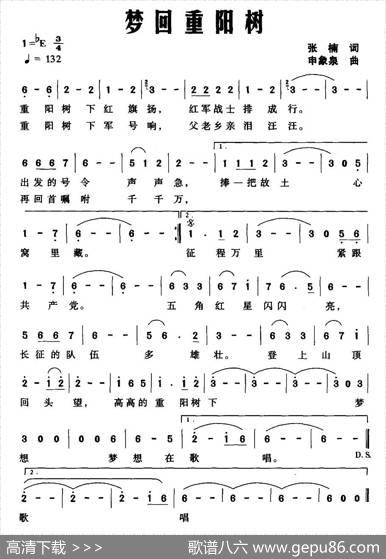 梦回重阳树 - 张楠|申象泉