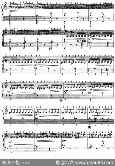 手风琴世界名曲：野蜂飞舞|[俄]R·科萨阔夫