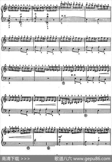 手风琴世界名曲：野蜂飞舞|[俄]R·科萨阔夫
