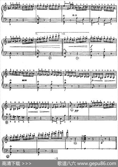 手风琴世界名曲：野蜂飞舞|[俄]R·科萨阔夫