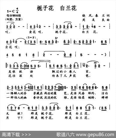 栀子花白兰花 - 晓风春兰|周友良