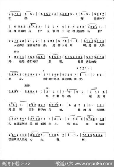 乌桕树下的怀念 - 乔羽|瞿希贤