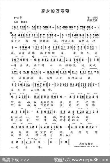 家乡的万寿菊 - 子锋|高福友