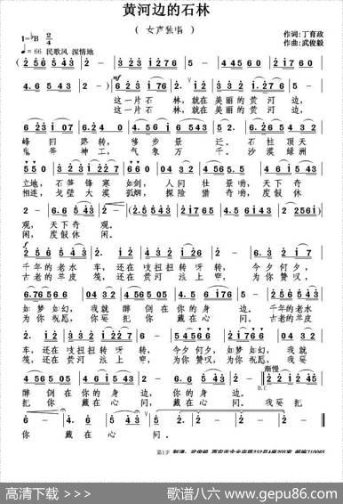 黄河边的石林 - 丁育政|武俊毅