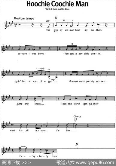 蓝调音乐：HoochieCoochieMan