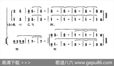 金星与紫荆 - 李红林|董茂贤