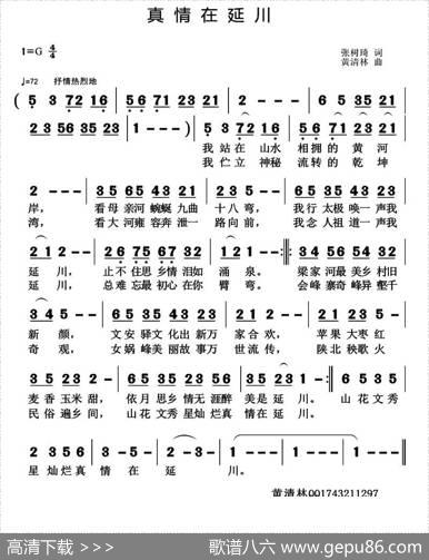 真情在延川 - 张树琦|黄清林