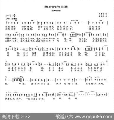 故乡的向日癸 - 吴善翎|董金刚