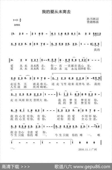我的爱从未离去 - 孙书林|曹湘郴