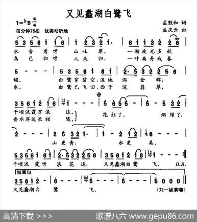 又见蠡湖白鹭飞 - 孟敦和|孟庆云