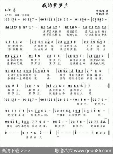 我的紫罗兰 - 银燕|南风