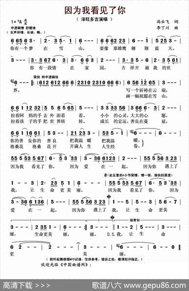 因为我看见了你 - 冯云飞|李丁川