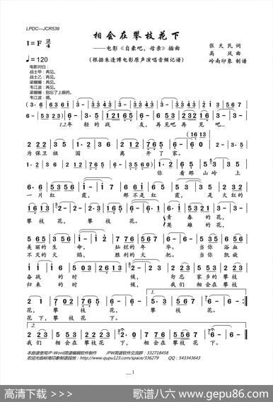相会在攀枝花下（电影《自豪吧，母亲》插曲） - 张天民|高风