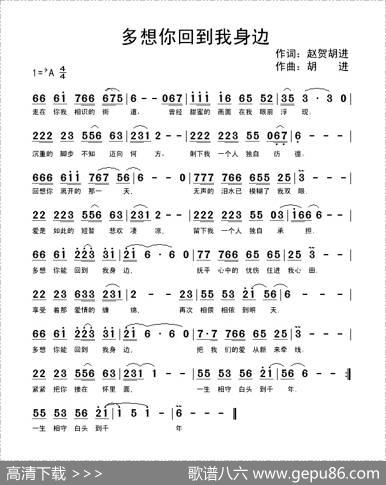 多想你回到我身边 - 赵贺胡进|胡进